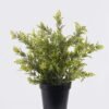 Artificial Table Plants Grass in PP pot GS-03326120_4 Artificial Table Plants 30*30*33cm Grass in PP pot GS-03326120 2026Jun 3,000+ sqm showroom with thousands of artificial flowers, plants & trees ready for global sourcing.