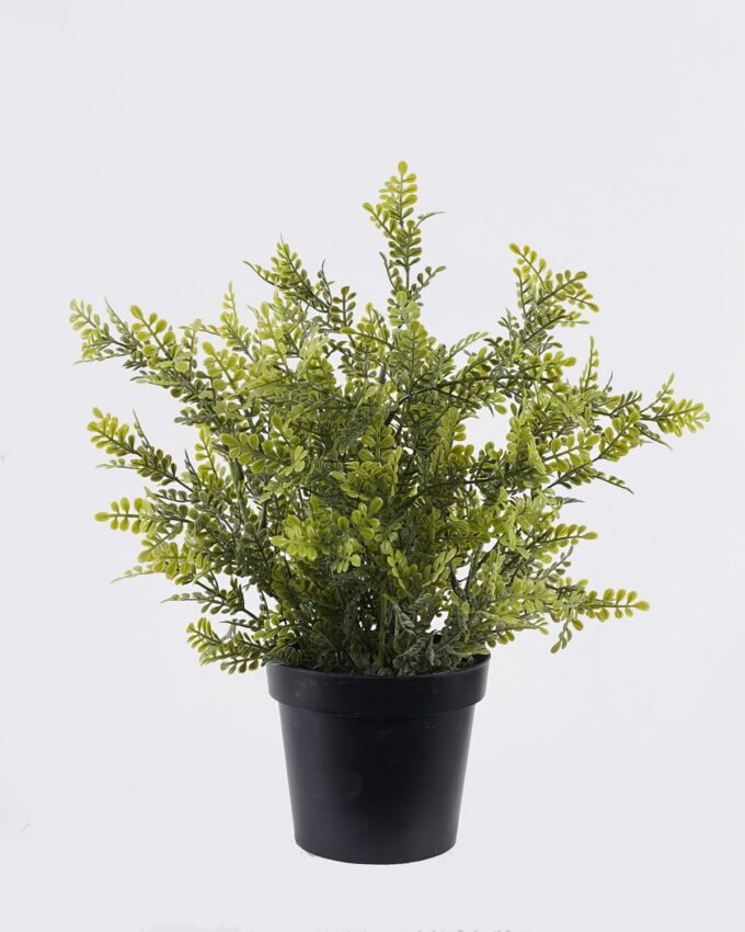 Artificial Table Plants Grass in PP pot GS-03326120_4 Artificial Table Plants 30*30*33cm Grass in PP pot GS-03326120 2026Jun 3,000+ sqm showroom with thousands of artificial flowers, plants & trees ready for global sourcing.