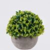 Artificial Table Plants Grass in Paper pulp pot GS-38926010_3 Artificial Table Plants 11*11*13cm Grass in Paper pulp pot GS-38926010 2026Jul 3,000+ sqm showroom with thousands of artificial flowers, plants & trees ready for global sourcing.