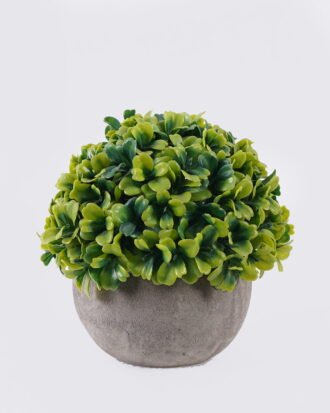 Artificial Table Plants 11*11*13cm Grass in Paper pulp pot GS-38926010 2026Jul 3,000+ sqm showroom with thousands of artificial flowers, plants & trees ready for global sourcing. Artificial Table Plants 11*11*13cm Grass in Paper pulp pot GS-38926010 2026Jul 3,000+ sqm showroom with thousands of artificial flowers, plants & trees ready for global sourcing.