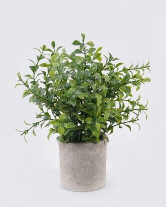 Artificial Table Plants 17*14*26cm Grass in Paper pulp pot GS-38926020 2026Jul 3,000+ sqm showroom with thousands of artificial flowers, plants & trees ready for global sourcing. Artificial Table Plants 17*14*26cm Grass in Paper pulp pot GS-38926020 2026Jul 3,000+ sqm showroom with thousands of artificial flowers, plants & trees ready for global sourcing.