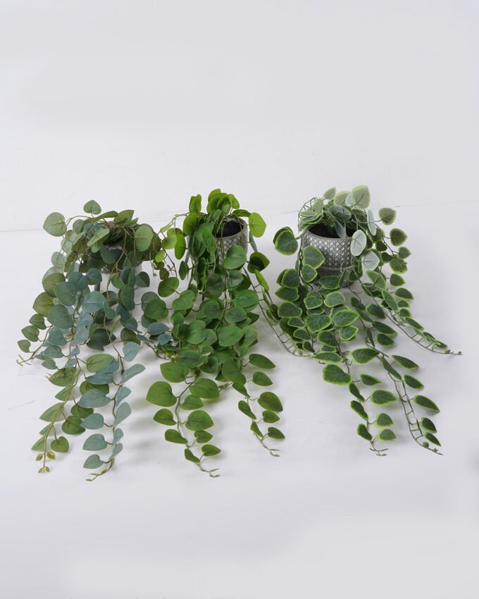 Artificial Table Plants 20*18*52cm Hanging Eucalyptus in Cement pot GS-03326110 2026Jun 3,000+ sqm showroom with thousands of artificial flowers, plants & trees ready for global sourcing.