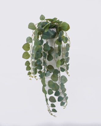 Artificial Table Plants 20*18*52cm Hanging Eucalyptus in Cement pot GS-03326110 2026Jun 3,000+ sqm showroom with thousands of artificial flowers, plants & trees ready for global sourcing. Artificial Table Plants 20*18*52cm Hanging Eucalyptus in Cement pot GS-03326110 2026Jun 3,000+ sqm showroom with thousands of artificial flowers, plants & trees ready for global sourcing.