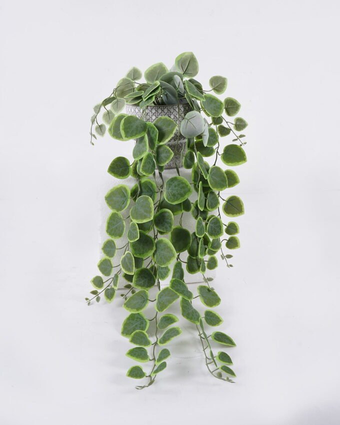 Artificial Table Plants 20*18*52cm Hanging Eucalyptus in Cement pot GS-03326110 2026Jun 3,000+ sqm showroom with thousands of artificial flowers, plants & trees ready for global sourcing.