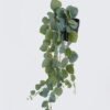 Artificial Table Plants Hanging Eucalyptus in PP pot GS-03326083-G1_4 Artificial Table Plants 20*16*55cm Hanging Eucalyptus in PP pot GS-03326083-G1 2026Jun 3,000+ sqm showroom with thousands of artificial flowers, plants & trees ready for global sourcing.