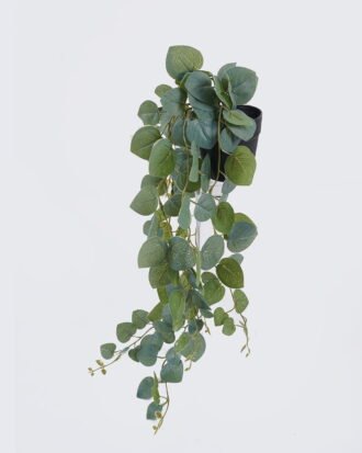 Artificial Table Plants 20*16*55cm Hanging Eucalyptus in PP pot GS-03326083-G1 2026Jun 3,000+ sqm showroom with thousands of artificial flowers, plants & trees ready for global sourcing. Artificial Table Plants 20*16*55cm Hanging Eucalyptus in PP pot GS-03326083-G1 2026Jun 3,000+ sqm showroom with thousands of artificial flowers, plants & trees ready for global sourcing.