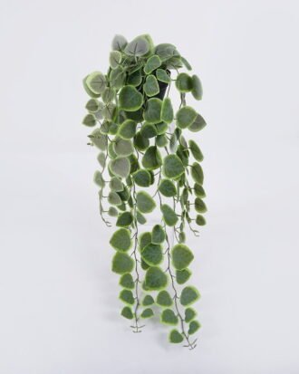 Artificial Table Plants 20*16*55cm Hanging Eucalyptus in PP pot GS-03326083-G2 2026Jun 3,000+ sqm showroom with thousands of artificial flowers, plants & trees ready for global sourcing. Artificial Table Plants 20*16*55cm Hanging Eucalyptus in PP pot GS-03326083-G2 2026Jun 3,000+ sqm showroom with thousands of artificial flowers, plants & trees ready for global sourcing.