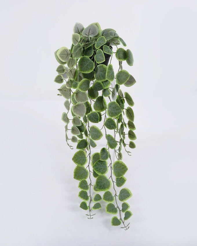 Artificial Table Plants 20*16*55cm Hanging Eucalyptus in PP pot GS-03326083-G2 2026Jun 3,000+ sqm showroom with thousands of artificial flowers, plants & trees ready for global sourcing.