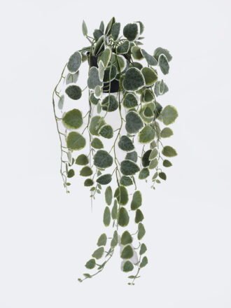 Artificial Table Plants 20*16*55cm Hanging Eucalyptus in PP pot GS-03326083-G2 2026Jun 3,000+ sqm showroom with thousands of artificial flowers, plants & trees ready for global sourcing.