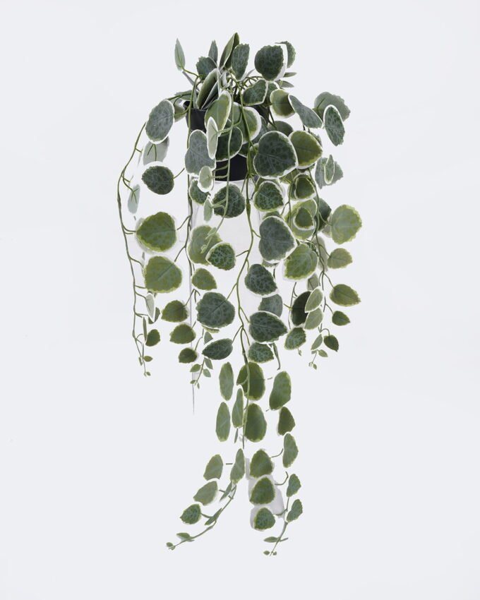 Artificial Table Plants 20*16*55cm Hanging Eucalyptus in PP pot GS-03326083-G3 2026Jun 3,000+ sqm showroom with thousands of artificial flowers, plants & trees ready for global sourcing.