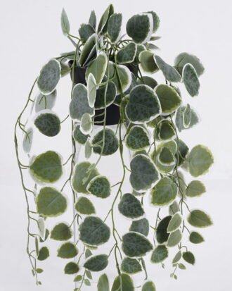 Artificial Table Plants 20*16*55cm Hanging Eucalyptus in PP pot GS-03326083-G3 2026Jun 3,000+ sqm showroom with thousands of artificial flowers, plants & trees ready for global sourcing. Artificial Table Plants 20*16*55cm Hanging Eucalyptus in PP pot GS-03326083-G3 2026Jun 3,000+ sqm showroom with thousands of artificial flowers, plants & trees ready for global sourcing.