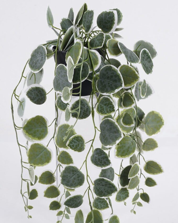 Artificial Table Plants 20*16*55cm Hanging Eucalyptus in PP pot GS-03326083-G3 2026Jun 3,000+ sqm showroom with thousands of artificial flowers, plants & trees ready for global sourcing.