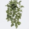 Artificial Table Plants Hanging Fittonia leaf in PP pot GS-03326080 Artificial Table Plants 20*20*42cm Hanging Fittonia leaf in PP pot GS-03326080 2026Jun 3,000+ sqm showroom with thousands of artificial flowers, plants & trees ready for global sourcing.