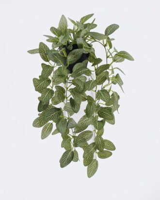 Artificial Table Plants 20*20*42cm Hanging Fittonia leaf in PP pot GS-03326080 2026Jun 3,000+ sqm showroom with thousands of artificial flowers, plants & trees ready for global sourcing. Artificial Table Plants 20*20*42cm Hanging Fittonia leaf in PP pot GS-03326080 2026Jun 3,000+ sqm showroom with thousands of artificial flowers, plants & trees ready for global sourcing.