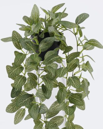 Artificial Table Plants 20*20*42cm Hanging Fittonia leaf in PP pot GS-03326080 2026Jun 3,000+ sqm showroom with thousands of artificial flowers, plants & trees ready for global sourcing. Artificial Table Plants 20*20*42cm Hanging Fittonia leaf in PP pot GS-03326080 2026Jun 3,000+ sqm showroom with thousands of artificial flowers, plants & trees ready for global sourcing.