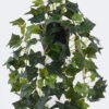 Artificial Table Plants Hanging Ivy Pothos in PP pot GS-03326082-G1_1 Artificial Table Plants 20*20*42cm Hanging Ivy Pothos in PP pot GS-03326082-G1 2026Jun 3,000+ sqm showroom with thousands of artificial flowers, plants & trees ready for global sourcing.