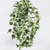 Artificial Table Plants Hanging Ivy Pothos in PP pot GS-03326082-G2 Artificial Table Plants 20*20*42cm Hanging Ivy Pothos in PP pot GS-03326082-G2 2026Jun 3,000+ sqm showroom with thousands of artificial flowers, plants & trees ready for global sourcing.