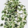 Artificial Table Plants Hanging Ivy Pothos in PP pot GS-03326082-G2_2 Artificial Table Plants 20*20*42cm Hanging Ivy Pothos in PP pot GS-03326082-G2 2026Jun 3,000+ sqm showroom with thousands of artificial flowers, plants & trees ready for global sourcing.
