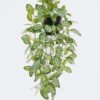 Artificial Table Plants Hanging Variegated Pothos in PP pot GS-03326081 Artificial Table Plants 20*20*42cm Hanging Variegated Pothos in PP pot GS-03326081 2026Jun 3,000+ sqm showroom with thousands of artificial flowers, plants & trees ready for global sourcing.