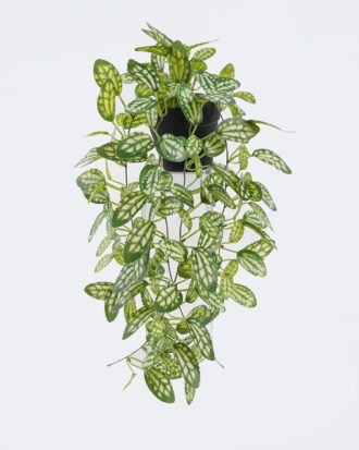 Artificial Table Plants 20*20*42cm Hanging Variegated Pothos in PP pot GS-03326081 2026Jun 3,000+ sqm showroom with thousands of artificial flowers, plants & trees ready for global sourcing. Artificial Table Plants 20*20*42cm Hanging Variegated Pothos in PP pot GS-03326081 2026Jun 3,000+ sqm showroom with thousands of artificial flowers, plants & trees ready for global sourcing.