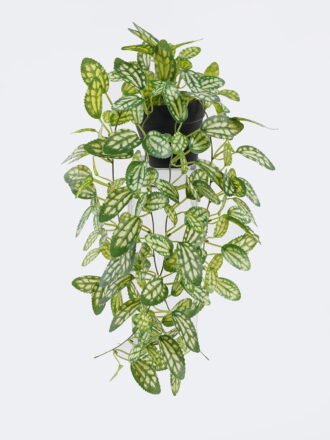 Artificial Table Plants 20*20*42cm Hanging Ivy Pothos in PP pot GS-03326082-G1 2026Jun 3,000+ sqm showroom with thousands of artificial flowers, plants & trees ready for global sourcing.