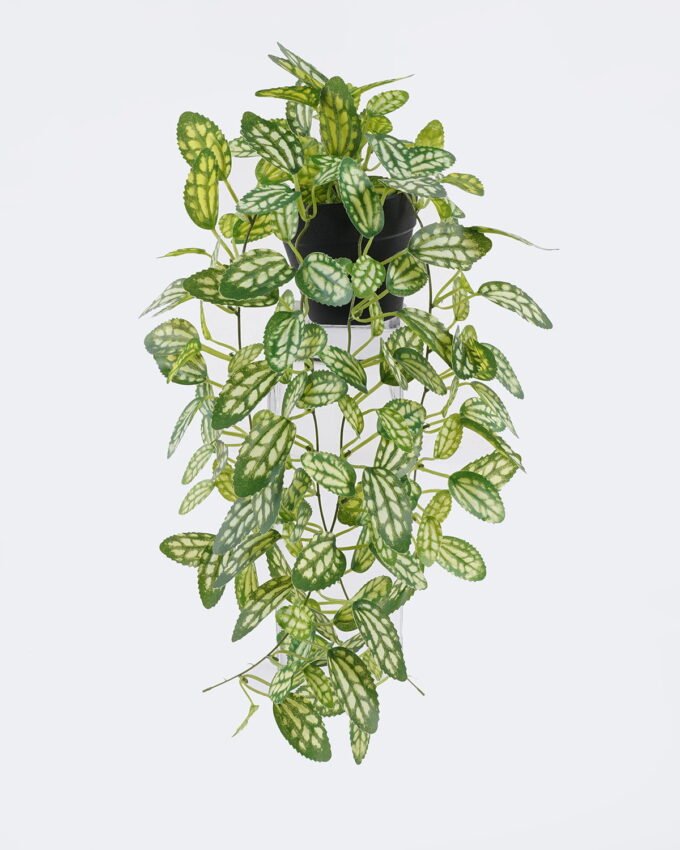 Artificial Table Plants 20*20*42cm Hanging Variegated Pothos in PP pot GS-03326081 2026Jun 3,000+ sqm showroom with thousands of artificial flowers, plants & trees ready for global sourcing.