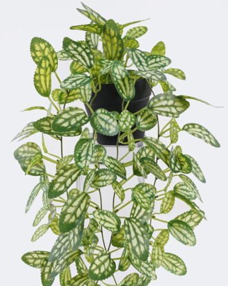 Artificial Table Plants 20*20*42cm Hanging Variegated Pothos in PP pot GS-03326081 2026Jun 3,000+ sqm showroom with thousands of artificial flowers, plants & trees ready for global sourcing. Artificial Table Plants 20*20*42cm Hanging Variegated Pothos in PP pot GS-03326081 2026Jun 3,000+ sqm showroom with thousands of artificial flowers, plants & trees ready for global sourcing.
