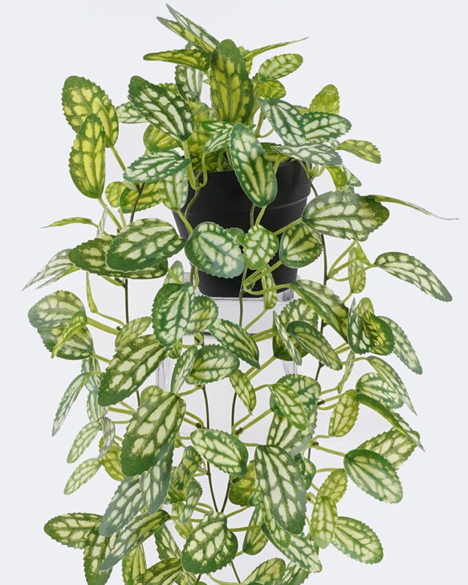 Artificial Table Plants 20*20*42cm Hanging Variegated Pothos in PP pot GS-03326081 2026Jun 3,000+ sqm showroom with thousands of artificial flowers, plants & trees ready for global sourcing.