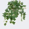 Artificial Table Plants 28*28*28cm Ivy in Cement pot GS-03326098 2026Jun 3,000+ sqm showroom with thousands of artificial flowers, plants & trees ready for global sourcing.