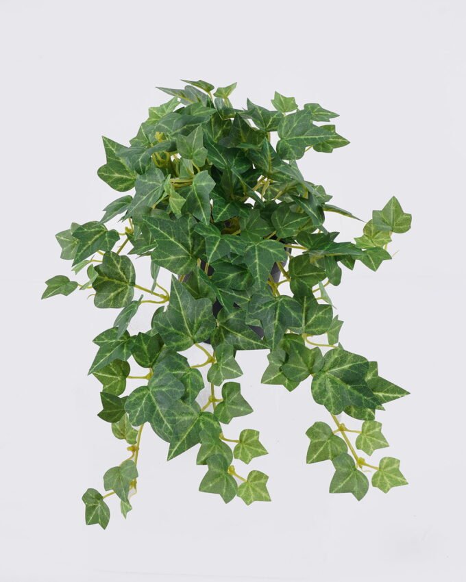 Artificial Table Plants 28*28*20cm Ivy in PP pot GS-03326099 2026Jun 3,000+ sqm showroom with thousands of artificial flowers, plants & trees ready for global sourcing.