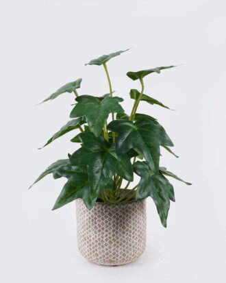 Artificial Table Plants 22*22*32cm Ivy in cement pot GS-03326091 2026Jun 3,000+ sqm showroom with thousands of artificial flowers, plants & trees ready for global sourcing. Artificial Table Plants 22*22*32cm Ivy in cement pot GS-03326091 2026Jun 3,000+ sqm showroom with thousands of artificial flowers, plants & trees ready for global sourcing.