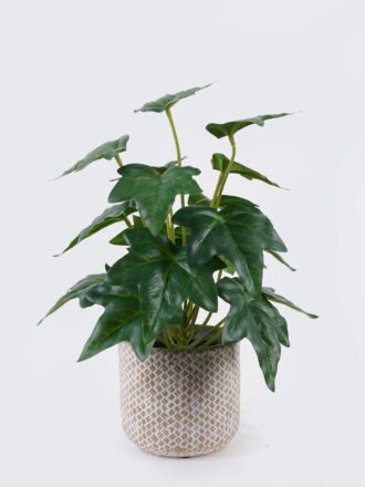 Artificial Table Plants 22*22*32cm Monstera in cement pot GS-03326092 2026Jun 3,000+ sqm showroom with thousands of artificial flowers, plants & trees ready for global sourcing.