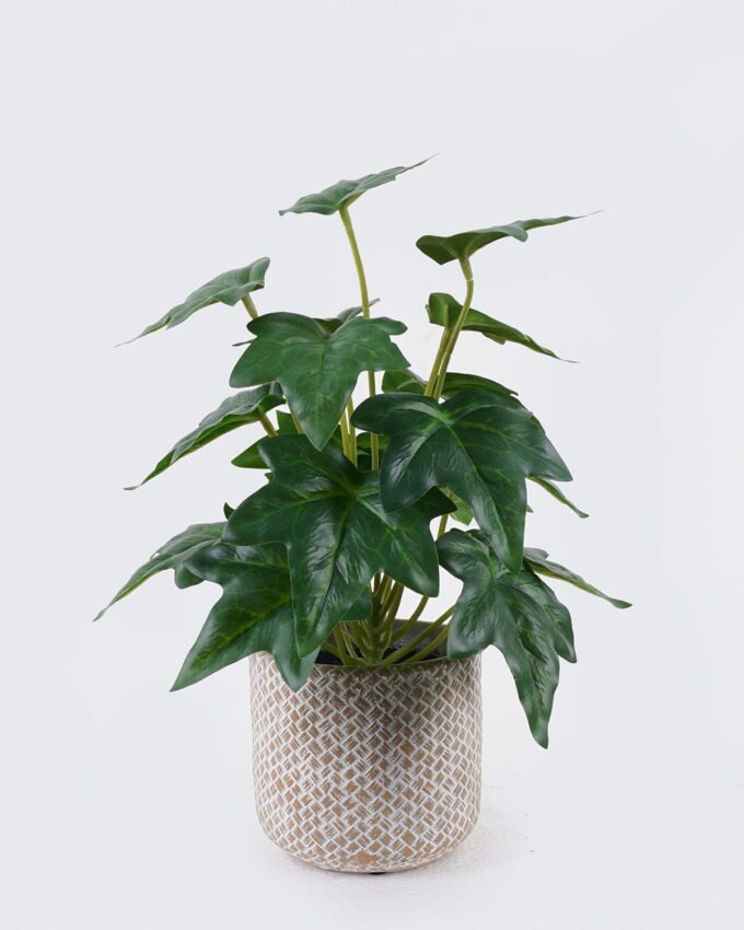 Artificial Table Plants 22*22*32cm Ivy in cement pot GS-03326091 2026Jun 3,000+ sqm showroom with thousands of artificial flowers, plants & trees ready for global sourcing.