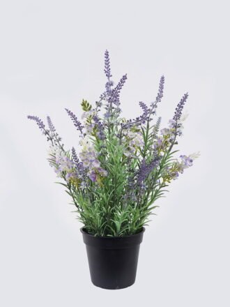 Artificial Table Plants 22*22*32cm Ivy in cement pot GS-03326091 2026Jun 3,000+ sqm showroom with thousands of artificial flowers, plants & trees ready for global sourcing.
