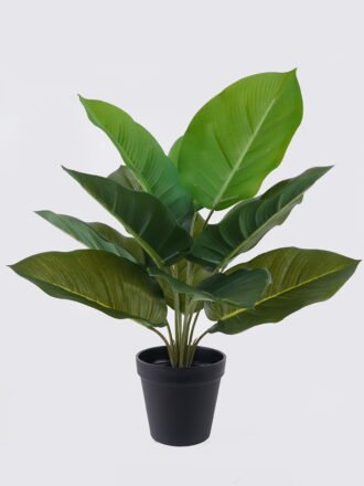 Artificial Table Plants 32*32*40cm Red palm Leaf in PP pot/12 lvs GS-35326015 2026Jul 3,000+ sqm showroom with thousands of artificial flowers, plants & trees ready for global sourcing.