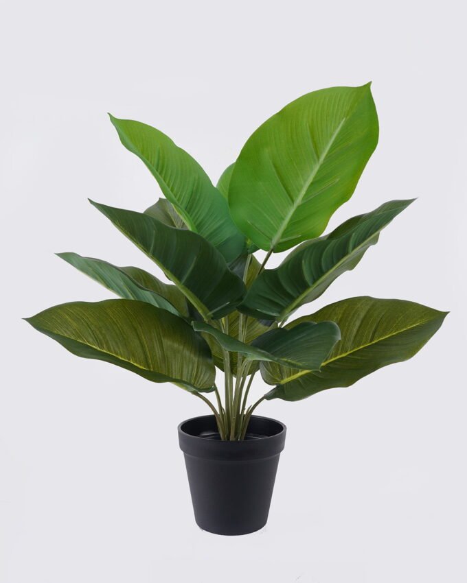 Artificial Table Plants 40*40*40cm Leaf  in PP pot/12 lvs GS-35326008 2026Jul 3,000+ sqm showroom with thousands of artificial flowers, plants & trees ready for global sourcing.