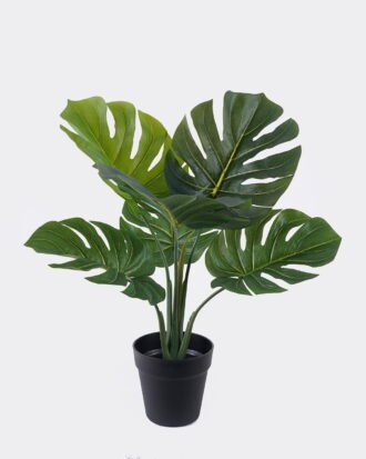 Artificial Table Plants 36*36*55cm Leaf  in PP pot/6 lvs GS-35326017 2026Jul 3,000+ sqm showroom with thousands of artificial flowers, plants & trees ready for global sourcing.