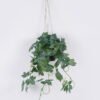 Artificial Table Plants Maple leaf in PP pot GS-03325155RP-P6P12-G1 Artificial Table Plants 30*35*51cm Maple leaf in PP pot GS-03325155RP-P6P12-G1 2026Jun 3,000+ sqm showroom with thousands of artificial flowers, plants & trees ready for global sourcing.