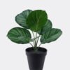 Artificial Table Plants Marantaceae in PP pot 6 Lvs GS-84626003 Artificial Table Plants 23*21*30cm Marantaceae in PP pot/6 Lvs GS-84626003 2026SEP 3,000+ sqm showroom with thousands of artificial flowers, plants & trees ready for global sourcing.