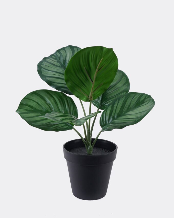 Artificial Table Plants 23*21*30cm Marantaceae in PP pot/6 Lvs GS-84626003 2026SEP 3,000+ sqm showroom with thousands of artificial flowers, plants & trees ready for global sourcing.