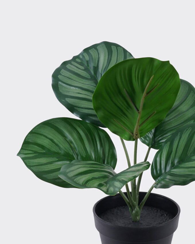 Artificial Table Plants 23*21*30cm Marantaceae in PP pot/6 Lvs GS-84626003 2026SEP 3,000+ sqm showroom with thousands of artificial flowers, plants & trees ready for global sourcing.