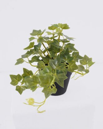 Artificial Table Plants 25*15*19cm Mini Ivy in PP pot GS-03326050 2026Jun 3,000+ sqm showroom with thousands of artificial flowers, plants & trees ready for global sourcing. Artificial Table Plants 25*15*19cm Mini Ivy in PP pot GS-03326050 2026Jun 3,000+ sqm showroom with thousands of artificial flowers, plants & trees ready for global sourcing.