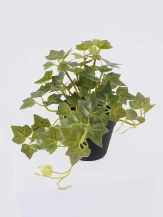 Artificial Table Plants 26*26*33cm Polyscias in PP pot GS-03326047 2026Jun 3,000+ sqm showroom with thousands of artificial flowers, plants & trees ready for global sourcing.