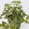 Artificial Table Plants Mini Ivy in PP pot GS-03326050_3 Artificial Table Plants 25*15*19cm Mini Ivy in PP pot GS-03326050 2026Jun 3,000+ sqm showroom with thousands of artificial flowers, plants & trees ready for global sourcing.