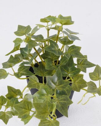 Artificial Table Plants 25*15*19cm Mini Ivy in PP pot GS-03326050 2026Jun 3,000+ sqm showroom with thousands of artificial flowers, plants & trees ready for global sourcing. Artificial Table Plants 25*15*19cm Mini Ivy in PP pot GS-03326050 2026Jun 3,000+ sqm showroom with thousands of artificial flowers, plants & trees ready for global sourcing.