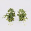 Artificial Table Plants Mini Variegated Pothos in PP pot GS-03326068_1 Artificial Table Plants 25*15*19cm Mini Variegated Pothos in PP pot GS-03326068 2026Jun 3,000+ sqm showroom with thousands of artificial flowers, plants & trees ready for global sourcing.