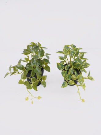 Artificial Table Plants 43*43*46cm Monstera in Cement pot GS-03326067-G2 2026Jun 3,000+ sqm showroom with thousands of artificial flowers, plants & trees ready for global sourcing.