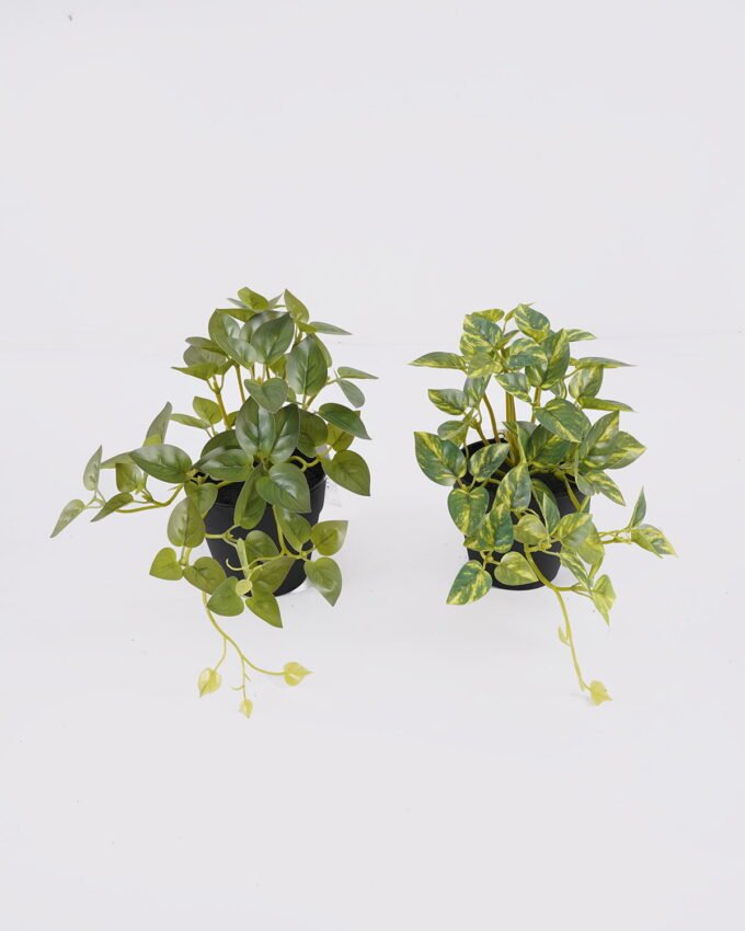 Artificial Table Plants 25*15*19cm Mini Variegated Pothos in PP pot GS-03326068 2026Jun 3,000+ sqm showroom with thousands of artificial flowers, plants & trees ready for global sourcing.