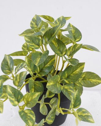 Artificial Table Plants 25*15*19cm Mini Variegated Pothos in PP pot GS-03326068 2026Jun 3,000+ sqm showroom with thousands of artificial flowers, plants & trees ready for global sourcing. Artificial Table Plants 25*15*19cm Mini Variegated Pothos in PP pot GS-03326068 2026Jun 3,000+ sqm showroom with thousands of artificial flowers, plants & trees ready for global sourcing.