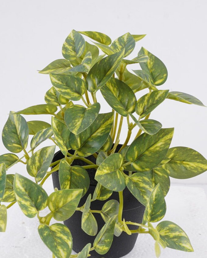 Artificial Table Plants Mini Variegated Pothos in PP pot GS-03326068_2 Artificial Table Plants 25*15*19cm Mini Variegated Pothos in PP pot GS-03326068 2026Jun 3,000+ sqm showroom with thousands of artificial flowers, plants & trees ready for global sourcing.
